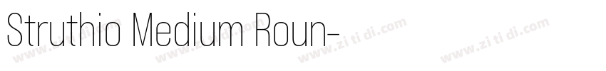 Struthio Medium Roun字体转换